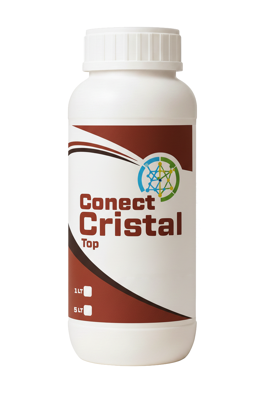 Conect Cristal